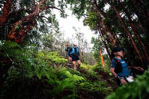 BIB: 
                            <button type="button" onclick="openModal(26201525)" class="btn btn-primary btn-sm float-right btn-popup" data-toggle="modal" data-target=".modal-high-quality">
                        <i class="fas fa-shopping-cart"></i> Add to Cart
                    </button>
                                            <button type="button" onclick="isThisMe(26201525, true)" class="btn btn-success btn-sm float-right btn-popup btn-isme hidden" data-toggle="tooltip" data-placement="bottom" title="นี่คือรูปของคุณใช่ไหม คลิกที่นี่เพื่อเอาเข้าอัลบั้ม">
                        <i class="fas fa-plus"></i> Add to album
                    </button>
                    <button type="button" onclick="isThisMe(26201525, false)" class="btn btn-warning btn-sm float-right btn-popup btn-isnotme hidden">
                        <i class="fas fa-ban"></i> Remove from album
                    </button>